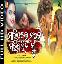 Maridelu Mate Marigali Mun female version(MP3 128K)