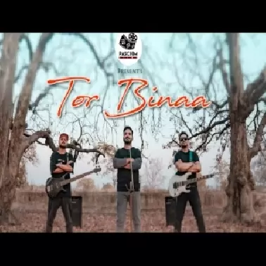 Tor Binaa