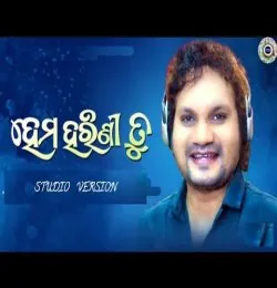 Hema Harini Tu