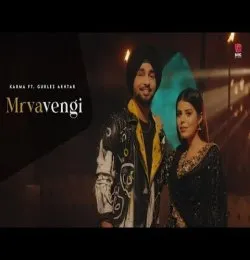 Mrvavengi