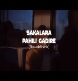 Sakalara Pahili Gadire (slowed + reverb)
