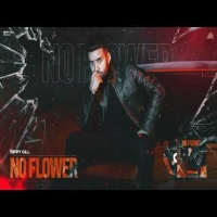 No Flower
