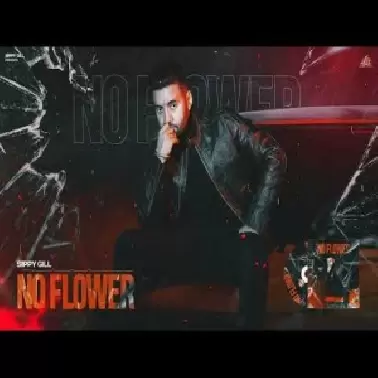 No Flower