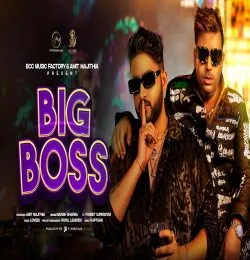 BIG BOSS