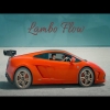 Lambo Flow