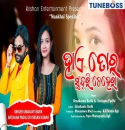 Haye Tor Sundri Chehera