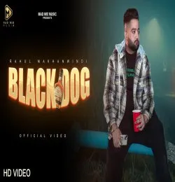 BLACK DOG