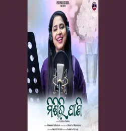 Misiri Pani