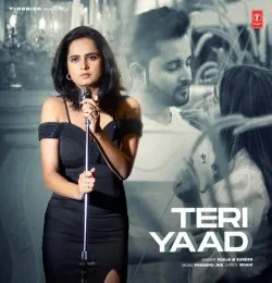 TERI YAAD