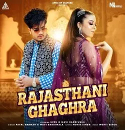 Rajasthani ghaghra