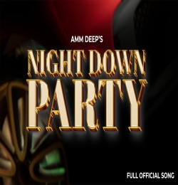 Night Down Party