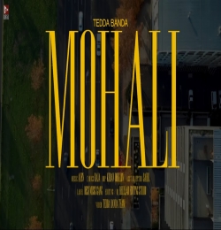 Mohali Hood