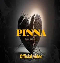 PINNA