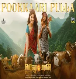 Pookkaari Pulla