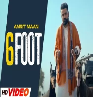 6 Foot