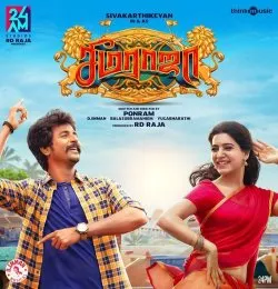 36251_4
