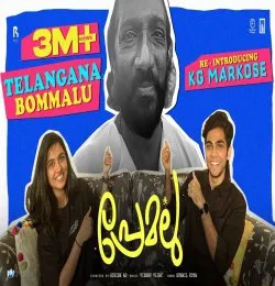Telangana Bommalu