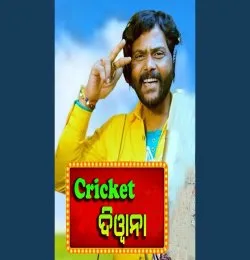 Cricket Diwana