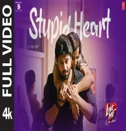 Stupid Heart