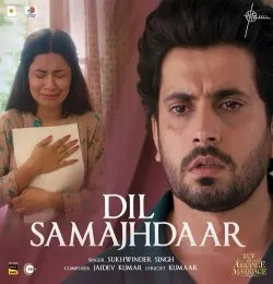 Dil Samajhdaar
