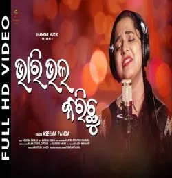 Bhari Bhala Karichu