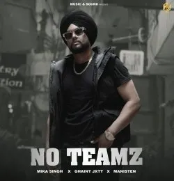 NO TEAMZ