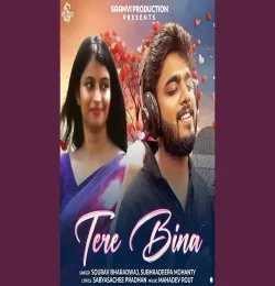 Tere Bina