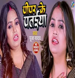 Pipar Ke Pataiya