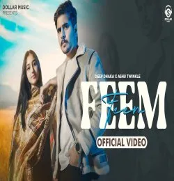 Feem
