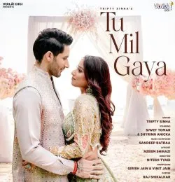 TU MIL GAYA