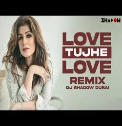 Love Tujhe Love Main Karta Hoon dj remix