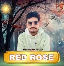RED ROSE