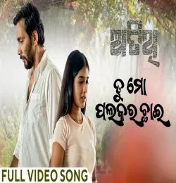 Tu Mo Palakara Chhai