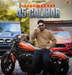 45 Calibar
