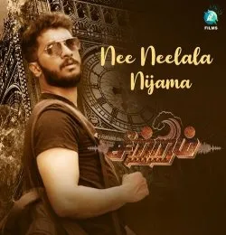 Nee Neelala Nijama