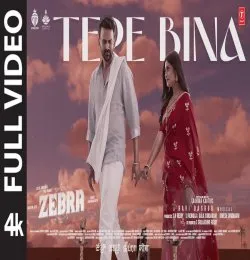 Tere Bina